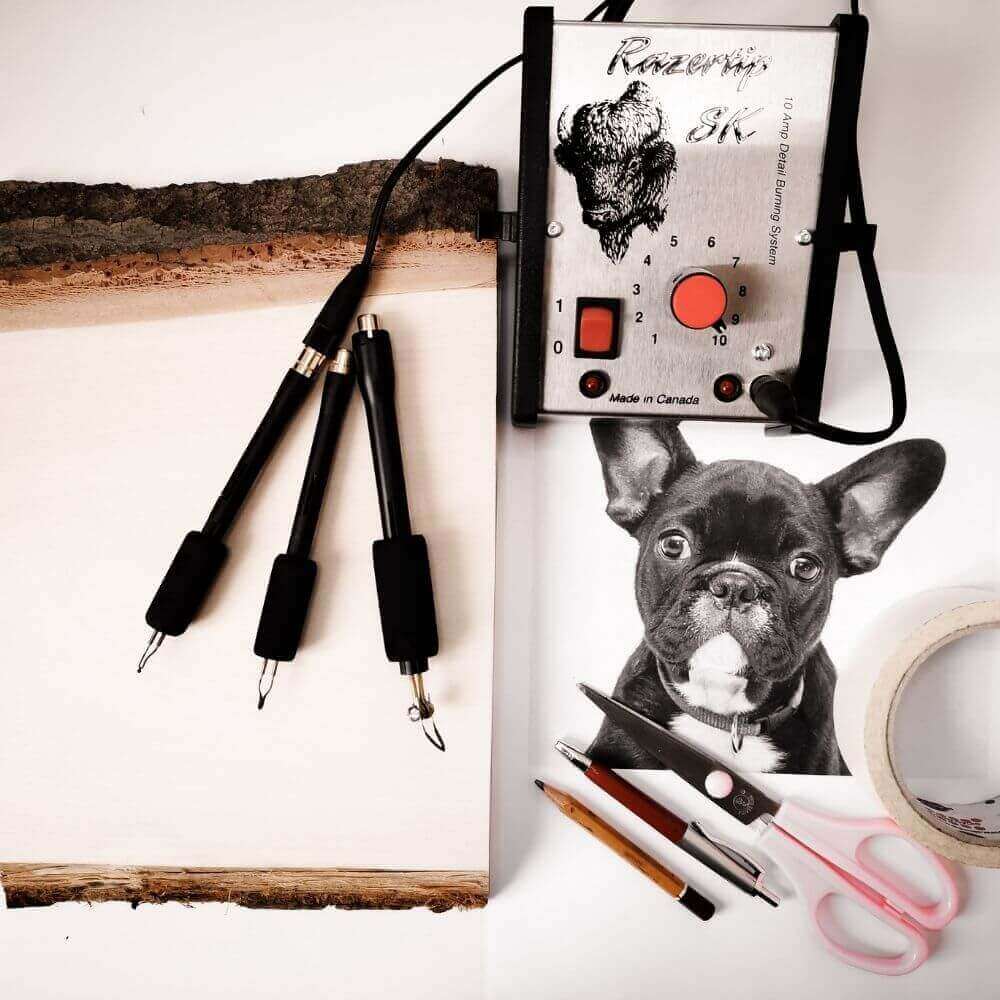 corso pirografo professionale ritratto cane 3